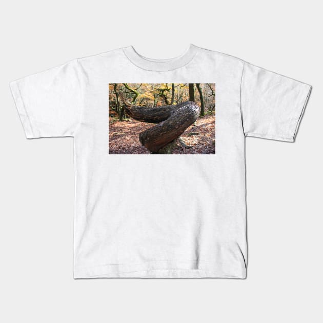 Money tree, Padley Gorge, Derbyshire Kids T-Shirt by HazelWright